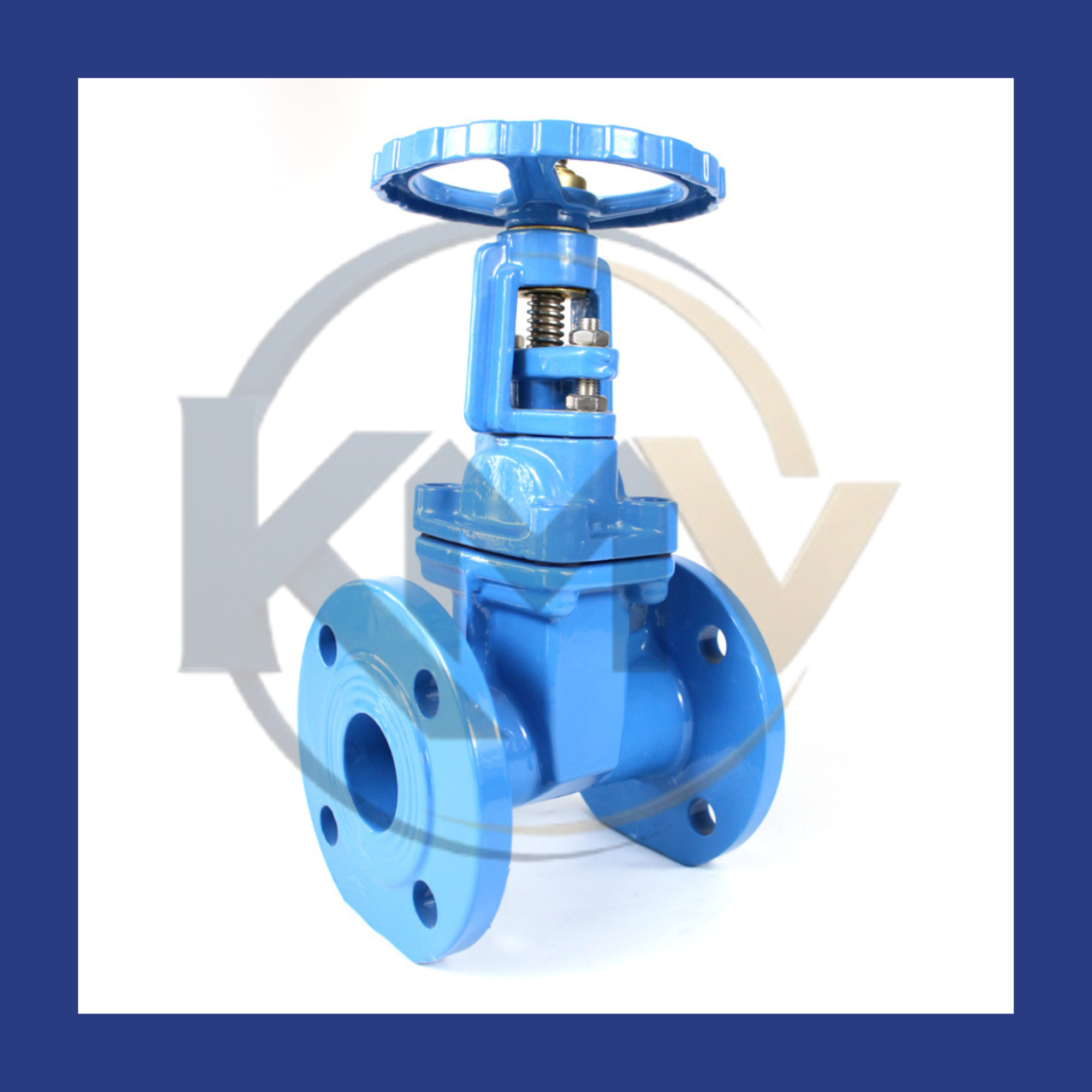 Rising Stem Gate Valve